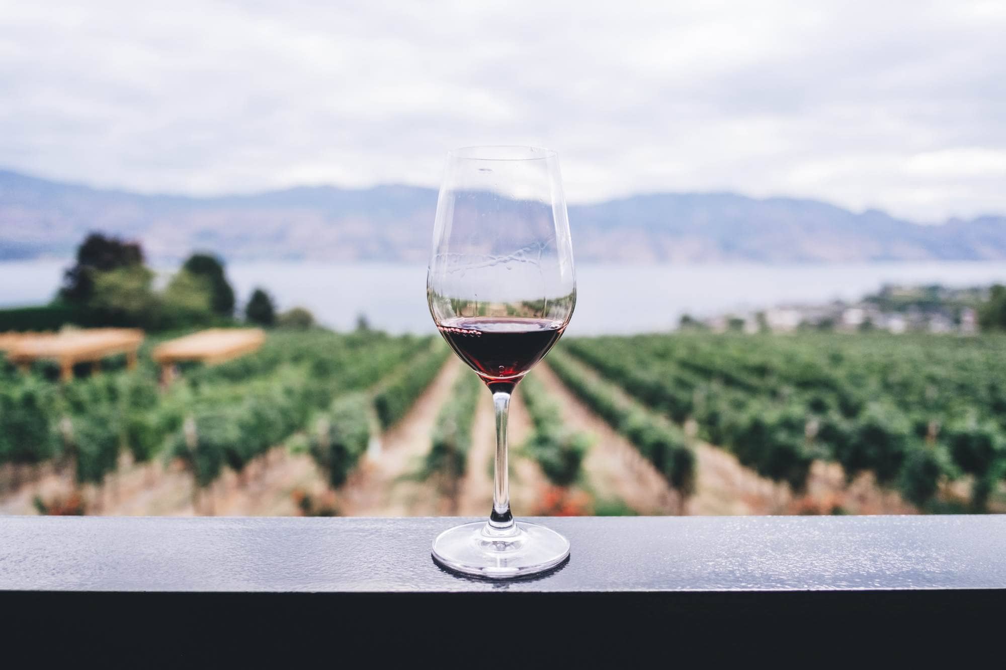 A wine glass, which stands on a railing, overlooking a vinyard.