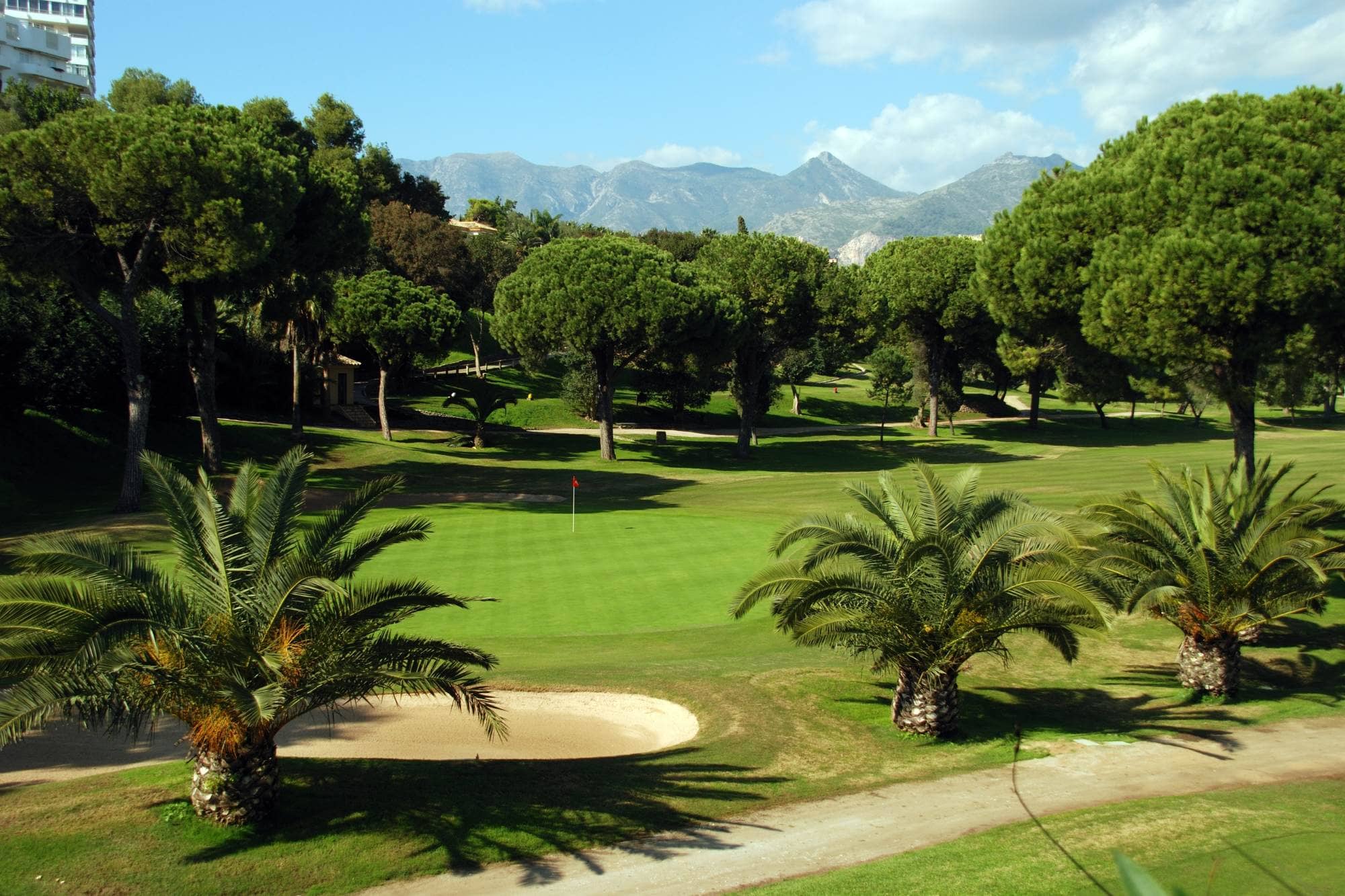 A golf course with palm trees surrounded by mountains.