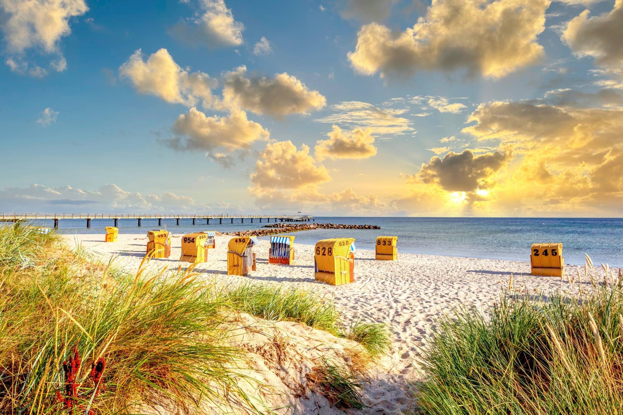 Strandkörbe auf einem Strand in Rosenhagen an der Ostsee.