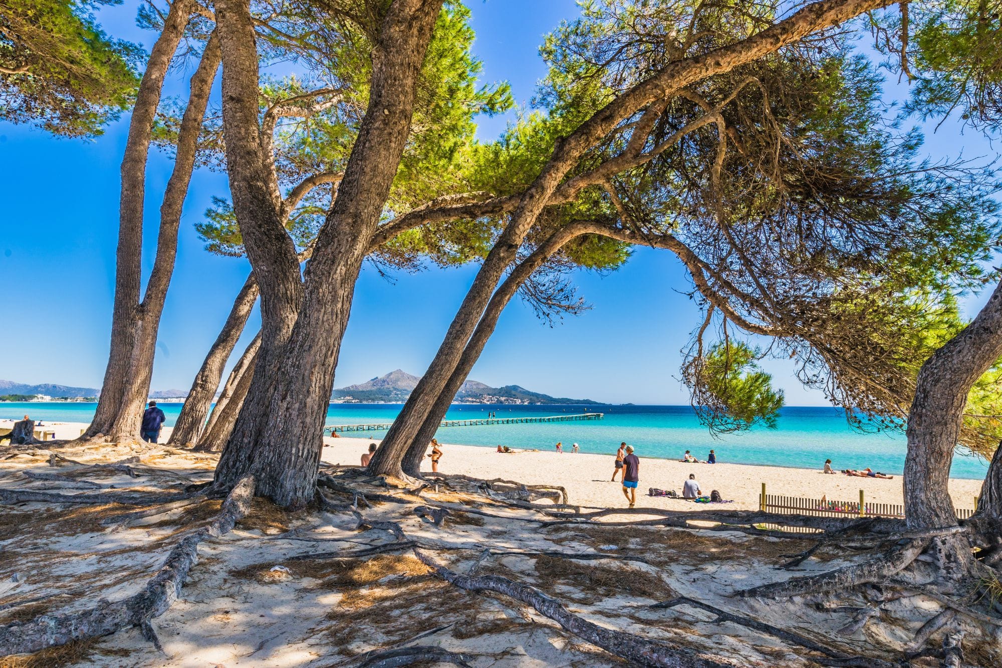 Alcudia Beach